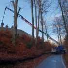 Betonpumpe M28 schlängelt sich zwischen Bäumen hindurch